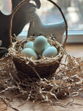 Lavender Ameraucana Hatching Eggs